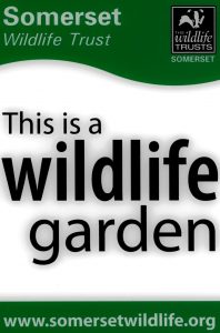 Somerset Wildlife Garden