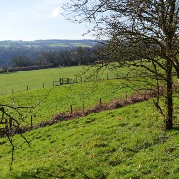 Holmwood Coach House