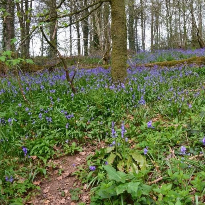 Holmwood Coach House